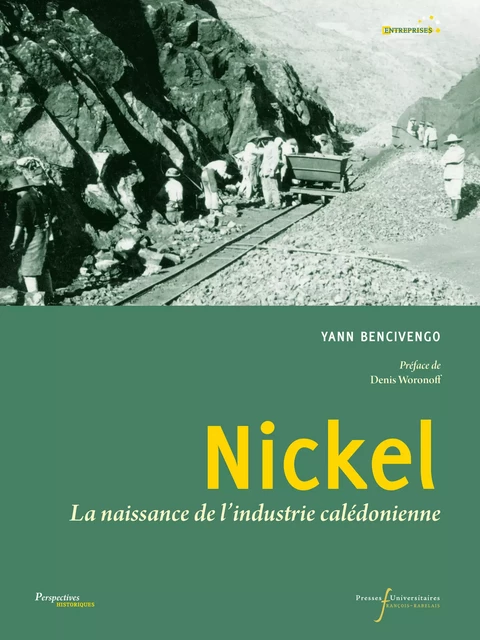 Nickel - Yann Bencivengo - Presses universitaires François-Rabelais