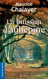 Un buisson d'aubépine