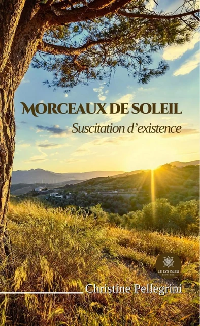 Morceaux de soleil - Christine Pellegrini - Le Lys Bleu Éditions