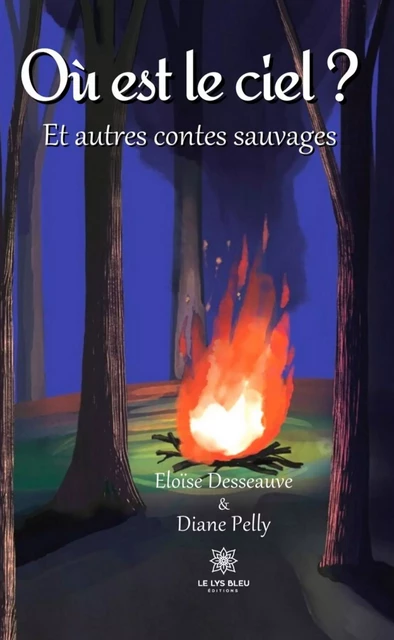 Où est le ciel ? - Eloïse Desseauve, Author Pelly - Le Lys Bleu Éditions