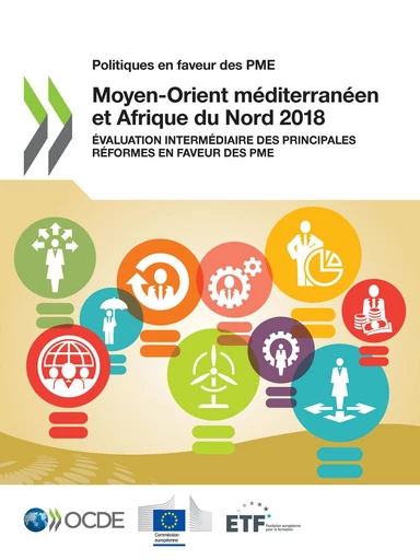 Politiques en faveur des PME : Moyen-Orient méditerranéen et Afrique du Nord 2018 -  Collectif - OECD