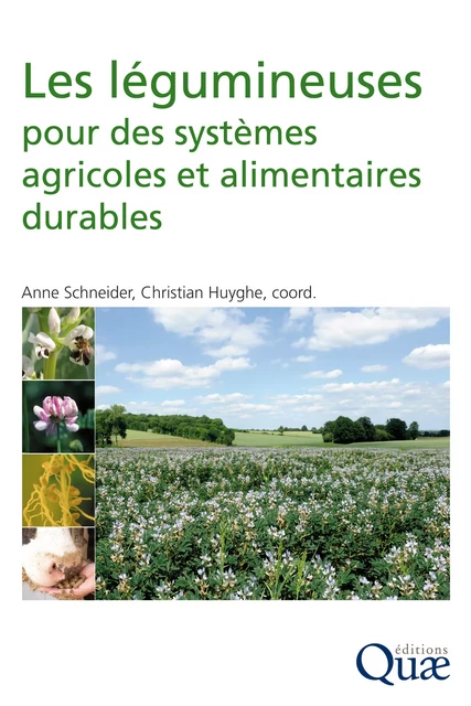 Les légumineuses pour des systèmes agricoles et alimentaires durables - Anne Schneider, Christian Huyghe - Quae