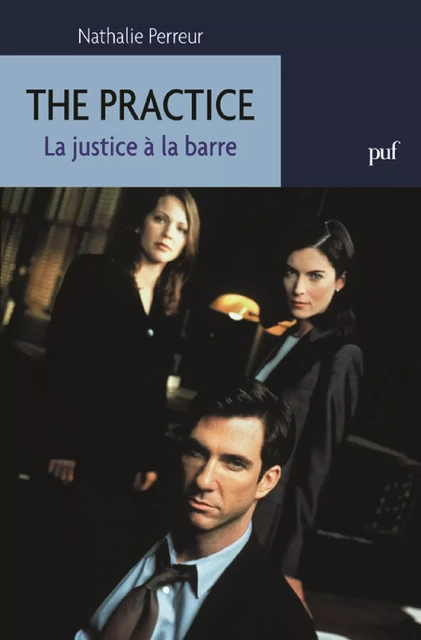 The Practice. La justice à la barre - Nathalie Perreur - Humensis