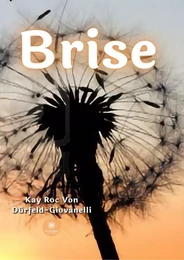 Brise