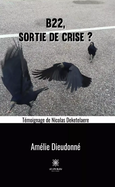 B22, sortie de crise ? - Amélie Dieudonné - Le Lys Bleu Éditions