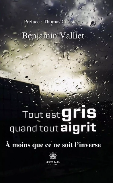 Tout est gris quand tout aigrit - Benjamin Valliet - Le Lys Bleu Éditions