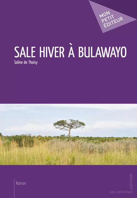 Sale hiver à Bulawayo - Soline de Thoisy - Mon Petit Editeur