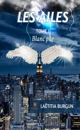 Les ailes - Tome I