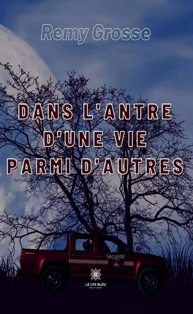 Dans l’antre d’une vie parmi d’autres - Rémy Grosse - Le Lys Bleu Éditions