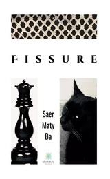 Fissure