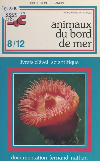 Animaux du bord de mer - Bernadette Bornancin, Gisèle Puig - (Nathan) réédition numérique FeniXX