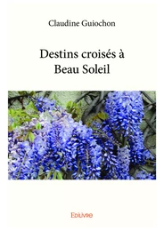 Destins croisés à Beau Soleil