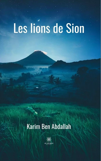 Les lions de Sion - Karim Ben Abdallah - Le Lys Bleu Éditions