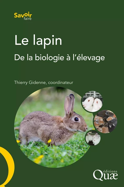 Le lapin - Thierry Gidenne - Quae