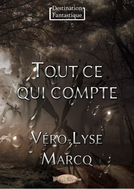 Tout ce qui compte - Véro-Lyse Marcq - Mots & Légendes