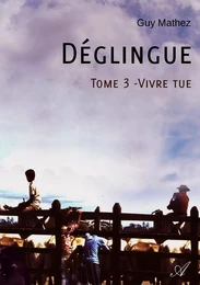 Déglingue - Tome 3