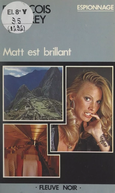 Matt est brillant - François Chabrey - Fleuve éditions (réédition numérique FeniXX)