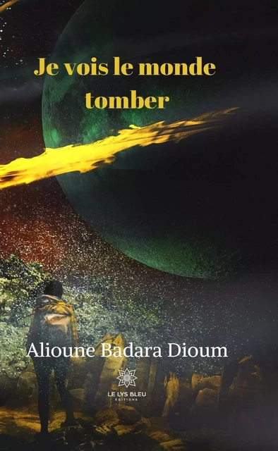 Je vois le monde tomber - Alioune Badara Dioum - Le Lys Bleu Éditions