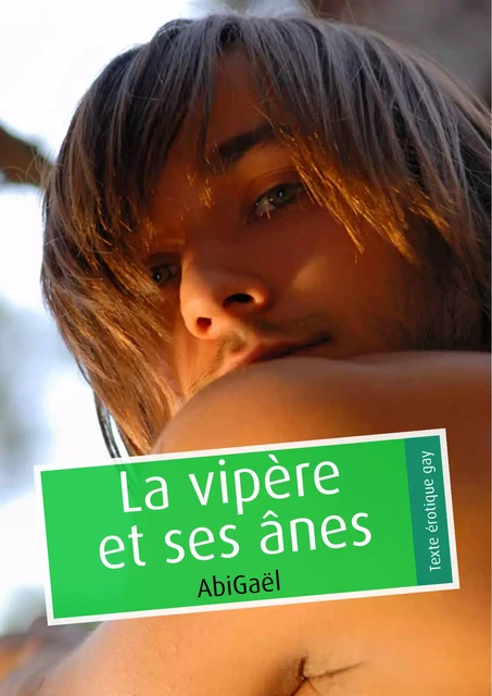 La vipère et ses ânes (pulp gay) -  AbiGaël - Éditions Textes Gais