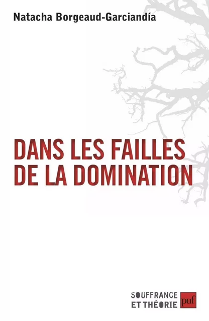 Dans les failles de la domination - Natacha Borgeaud-Garciandía - Humensis