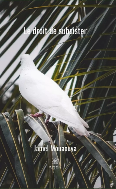 Le droit de subsister - Jamel Mouaouya - Le Lys Bleu Éditions