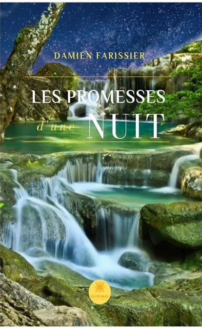 Les promesses d'une nuit - Damien Farissier - Le Lys Bleu Éditions