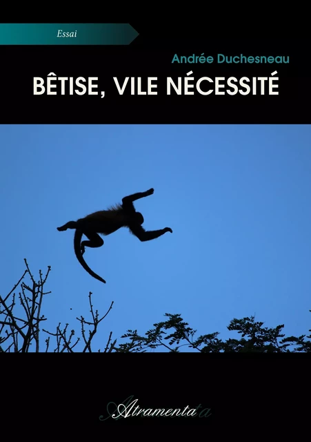 Bêtise, vile nécessité - Andrée Duchesneau - Atramenta