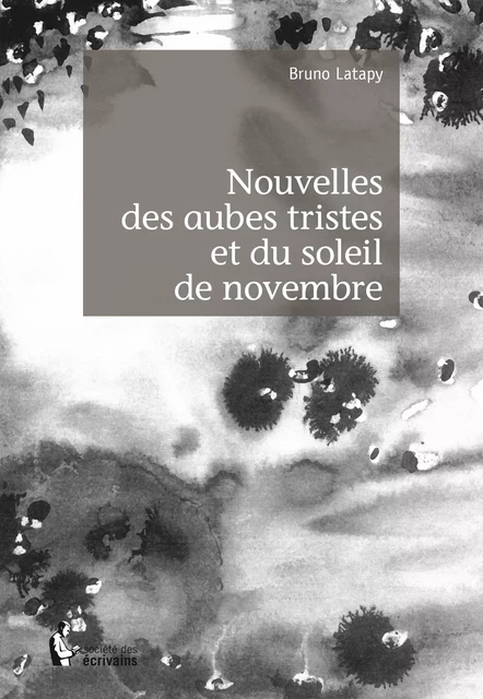 Nouvelles des aubes tristes et du soleil de novembre - Bruno Latapy - Société des écrivains