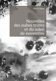 Nouvelles des aubes tristes et du soleil de novembre