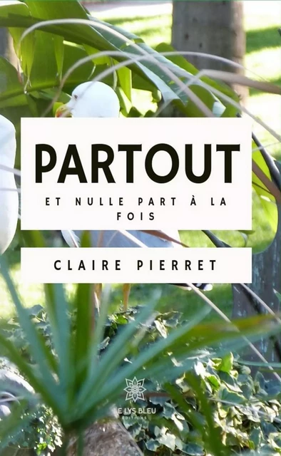 Partout et nulle part à la fois - Claire Pierret - Le Lys Bleu Éditions