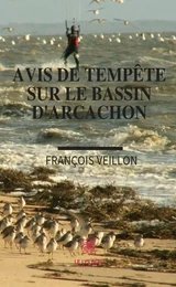 Avis de tempête sur le bassin d'Arcachon