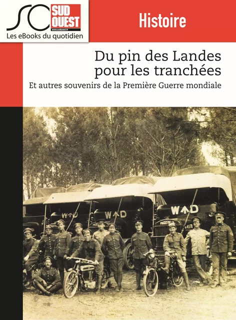 Du pin des Landes pour les tranchées - Journal Sud Ouest - Journal Sud Ouest