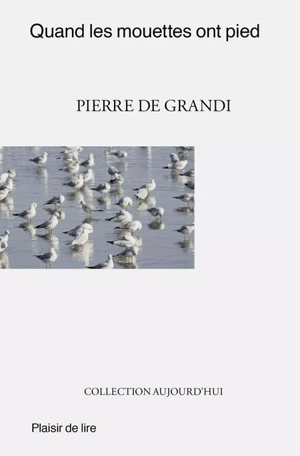 Quand les mouettes ont pied - Pierre De Grandi - Plaisir de Lire