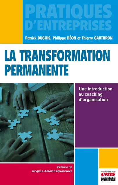 La transformation permanente - Patrick Dugois, Philippe Béon, Thierry Gauthron - Éditions EMS