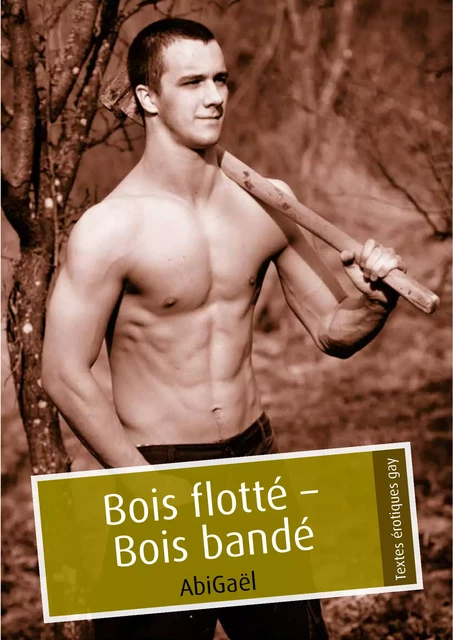 Bois flotté - Bois bandé (pulp gay) -  AbiGaël - Éditions Textes Gais