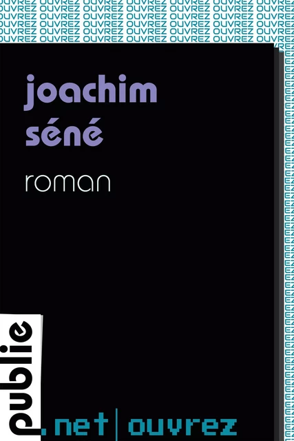 Roman - Joachim Séné - publie.net