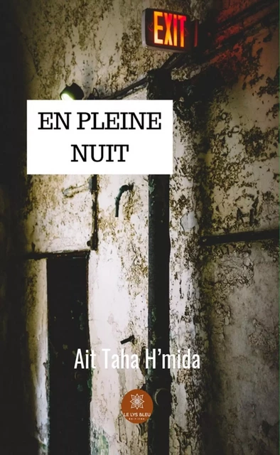 En pleine nuit - Ait Taha H’mida - Le Lys Bleu Éditions