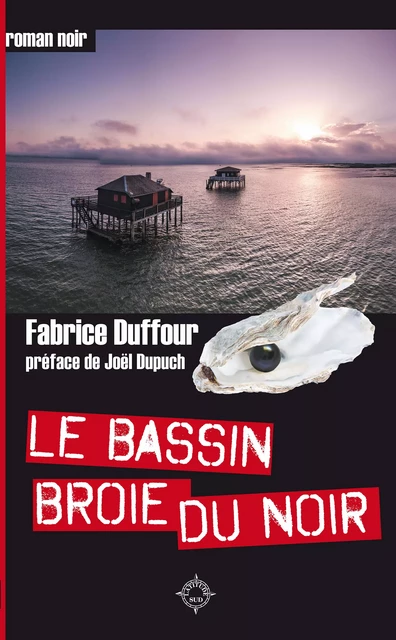 Le Bassin broie du noir -  - Éditions Cairn