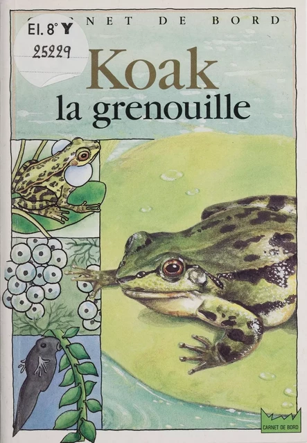 Koak la grenouille - Christine Lazier, Jean-Marc Patier - Hachette Jeunesse (réédition numérique FeniXX)