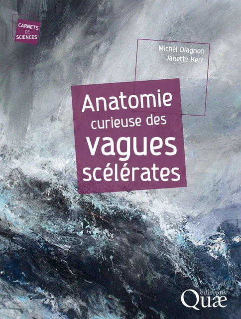 Anatomie curieuse des vagues scélérates - Michel Olagnon, Janette Kerr - Quae