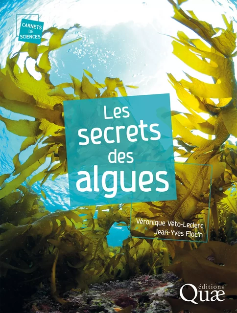 Les secrets des algues - Véronique Véto-Leclerc, Jean-Yves Floc’H - Quae