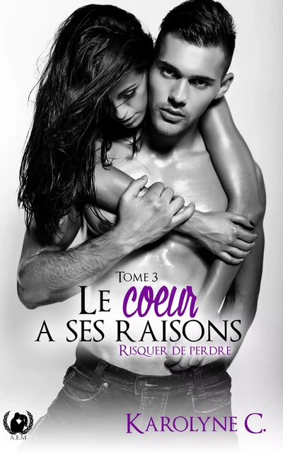 Le cœur a ses raisons - Tome 3 - Karolyne C. - Art en Mots Éditions