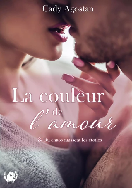 La couleur de l'amour - Tome 3 - Cady Agostan - Art en Mots Éditions