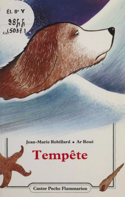 Tempête - Jean-Marie Robillard,  Ar Roué - Flammarion Jeunesse (réédition numérique FeniXX) 