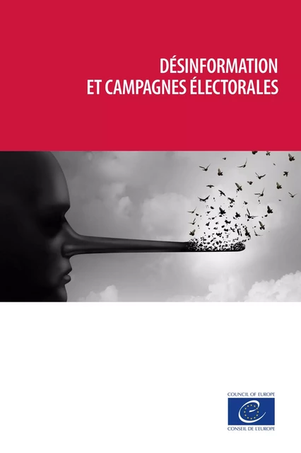 Désinformation et campagnes électorales - Yves-Marie Doublet - Conseil de l'Europe