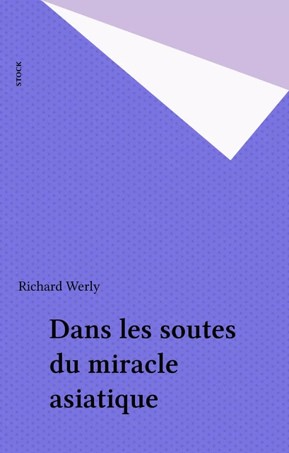 Dans les soutes du miracle asiatique - Richard Werly - Stock (réédition numérique FeniXX)