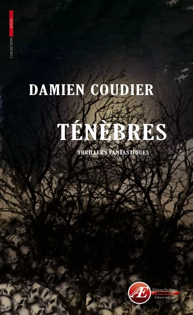 Ténèbres - Damien Coudier - Ex Aequo