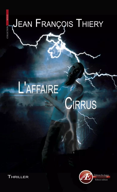 L'affaire Cirrus - Jean-François Thiery - Ex Aequo