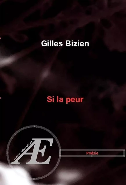 Si la peur - Gilles Bizien - Ex Aequo