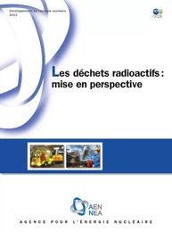 Les déchets radioactifs : mise en perspective